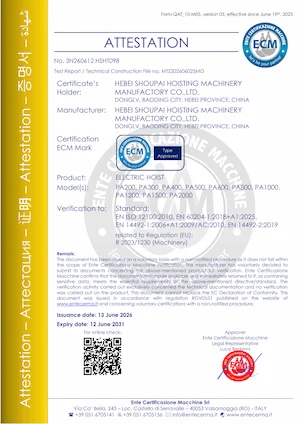CE Certificate for Mini Electric Hoist