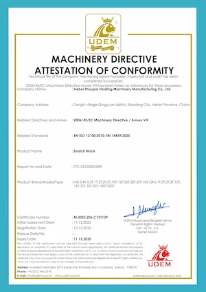 CE Certificate for Snatch Block & Pulley